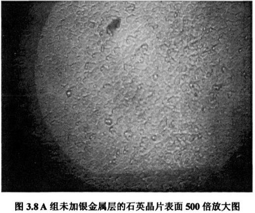 3.8A组未加银金属层的石英晶片表面500倍放大图