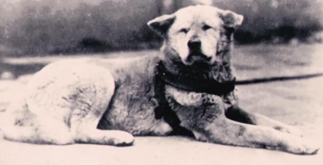 QQ截图20180117102444