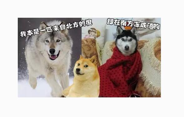 QQ截图20180206112022